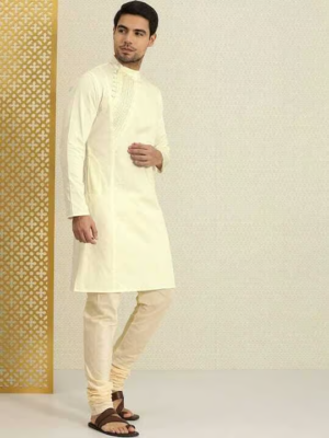 Mens Solid Stylish Kurta